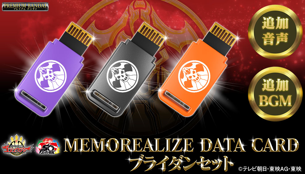 MEMOREALIZE DATA CARD SET2