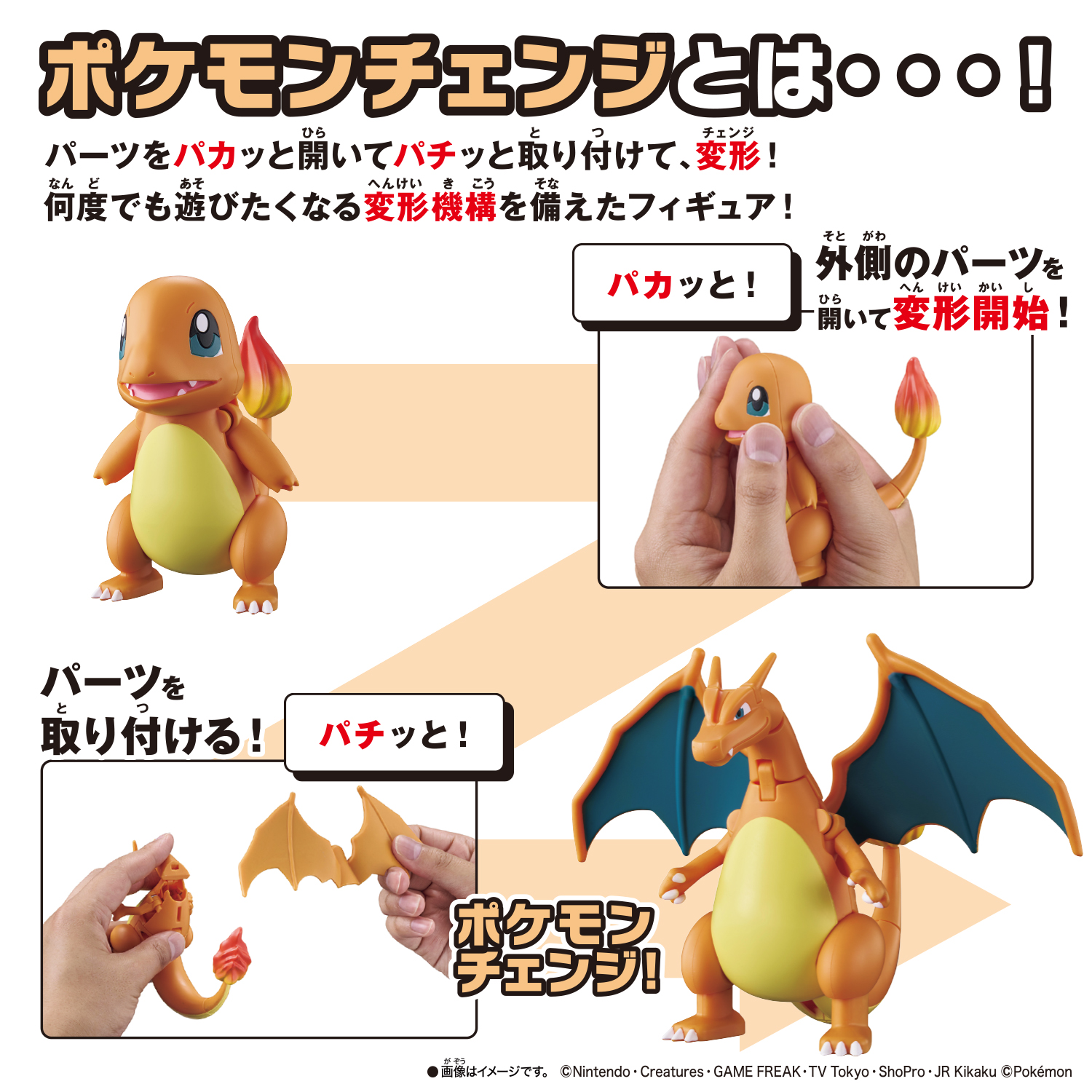 Pokémon Change Charmander / Charizard - Instruksi transformasi